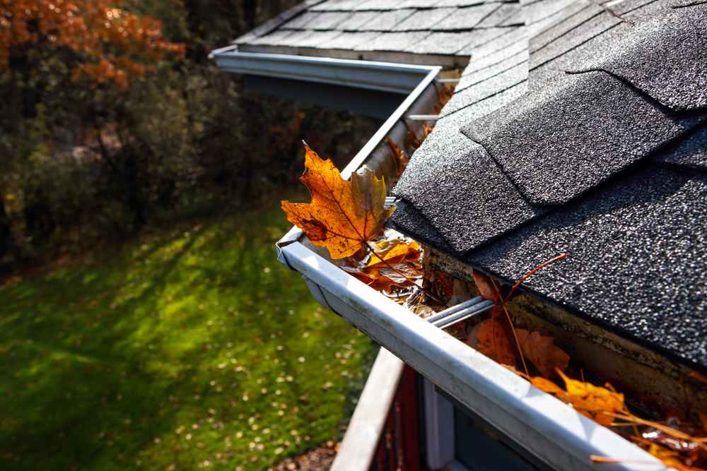 Professional gutter cleaning in Bendigo, removing leaves and debris from residential gutter