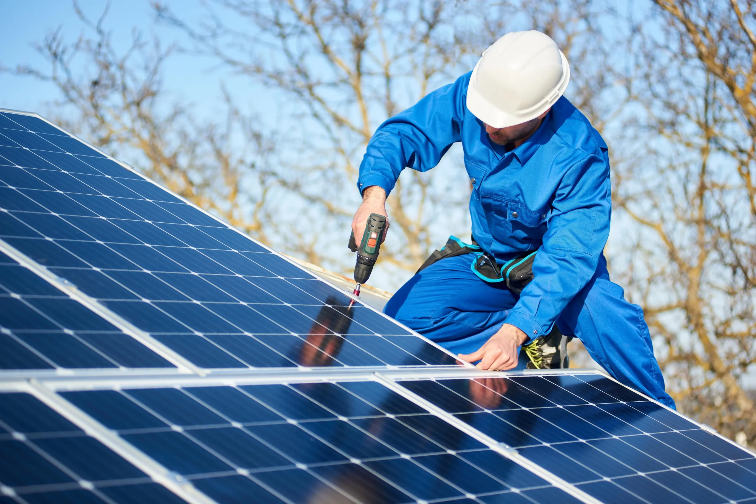 Professional solar panel cleaning service ensuring maximum energy efficiency and lifespan in Bendigo.